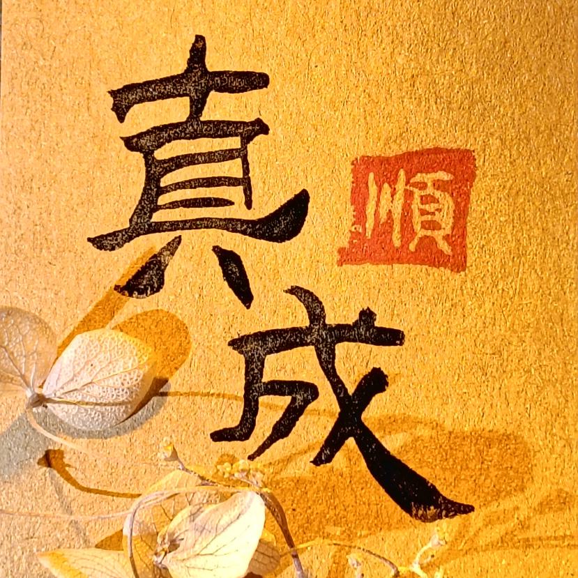 真成手写