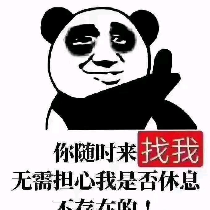会飞的鱼