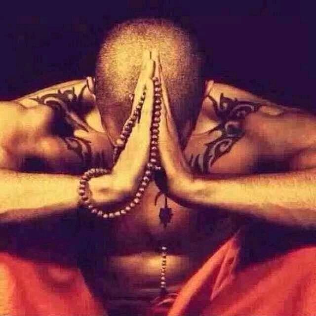 瑞博种植专业合作社