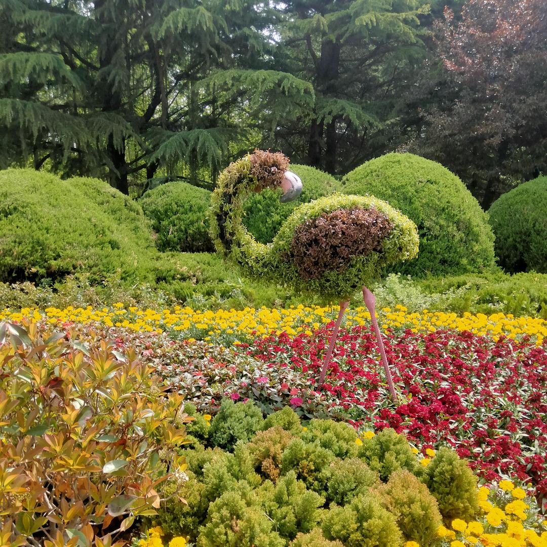 开心郑花开富贵