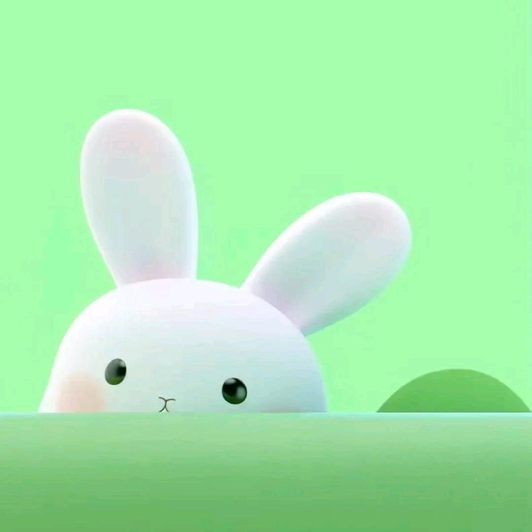 🐰 🐰 🥕