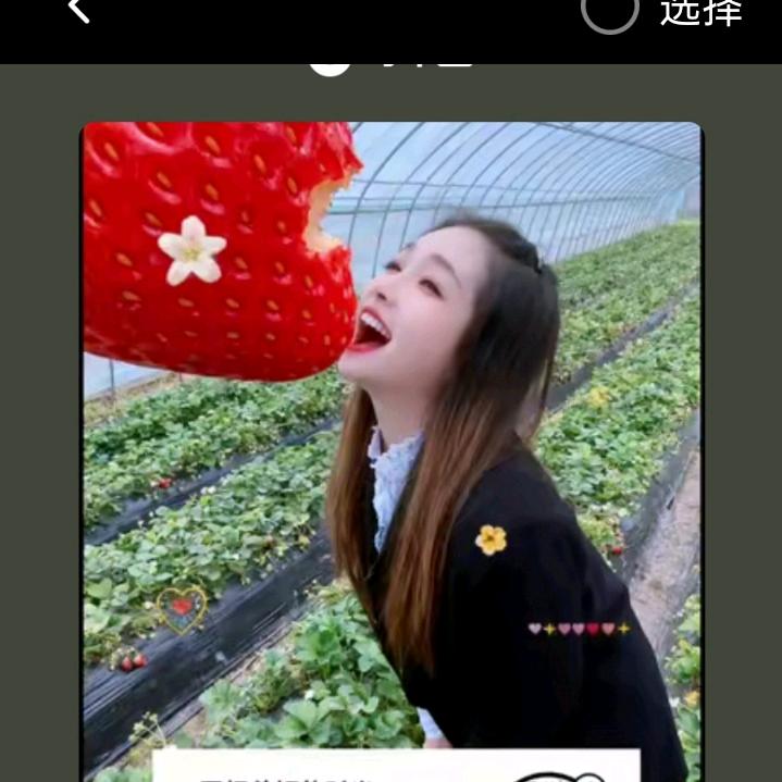 回忆美好的时光