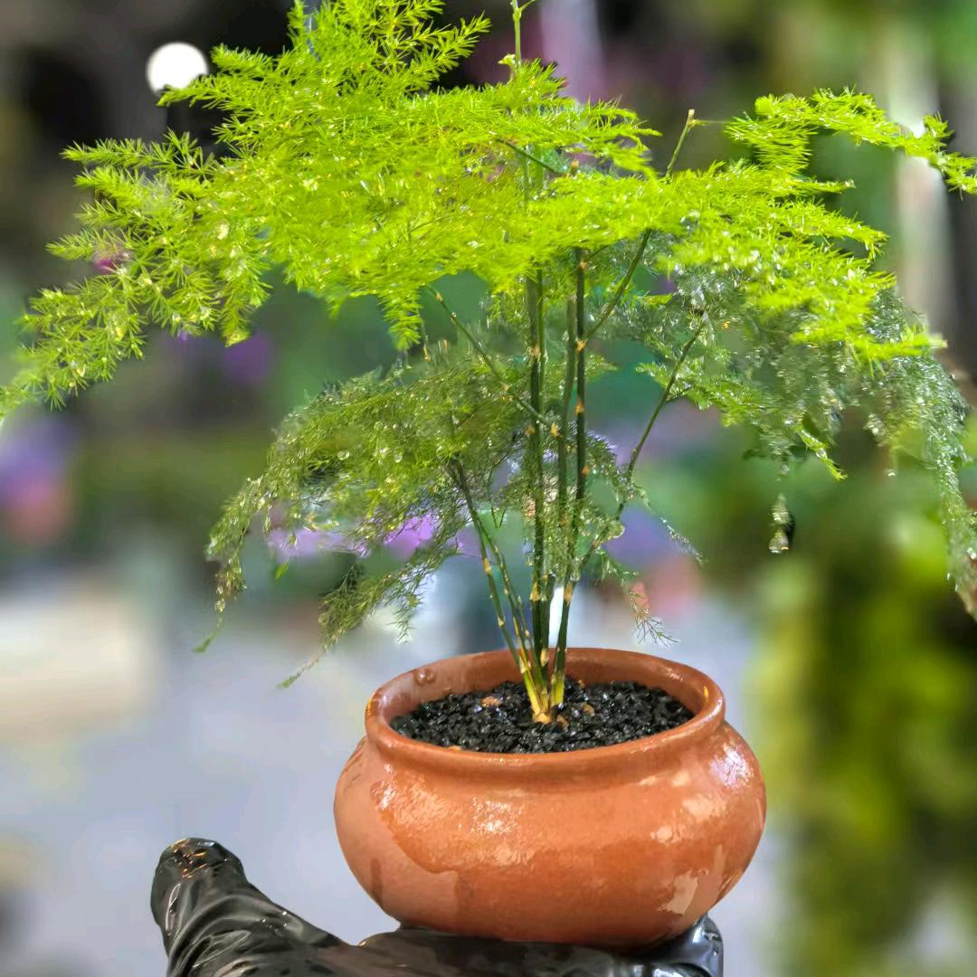 龙虾世界（官浔店）