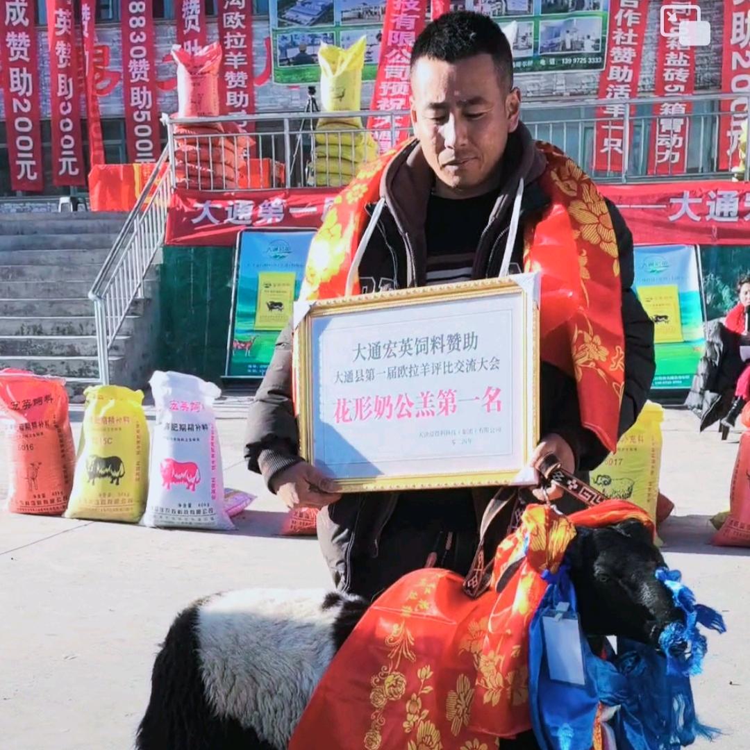 琦仔牧场
