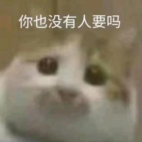 容易急眼头像