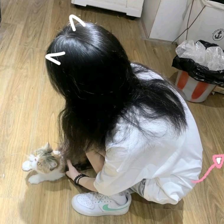 困掉脑袋