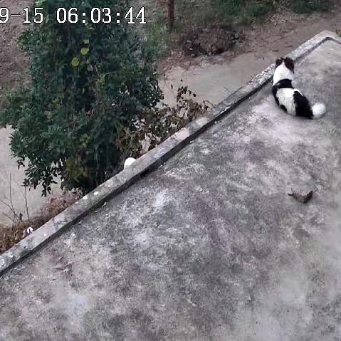 农爷
