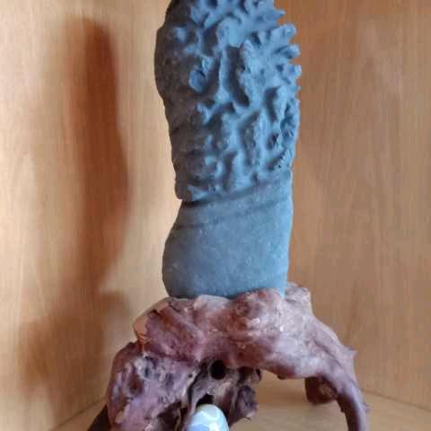 小桥流水🌲🌷