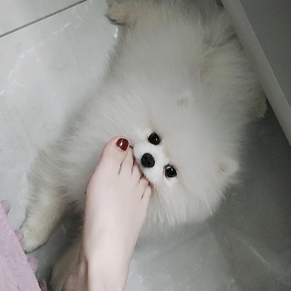 媛$儿
