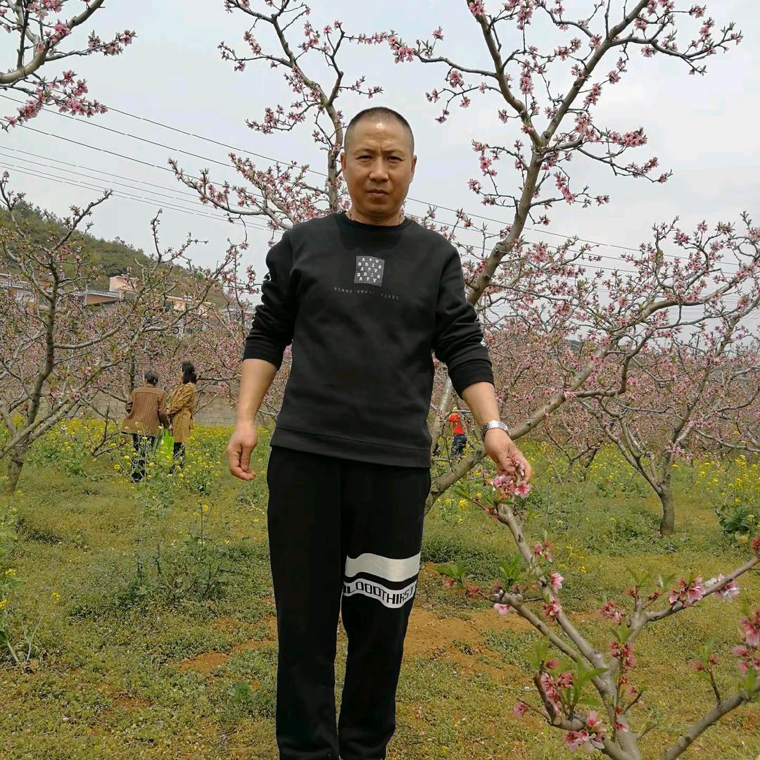 木子钓鱼