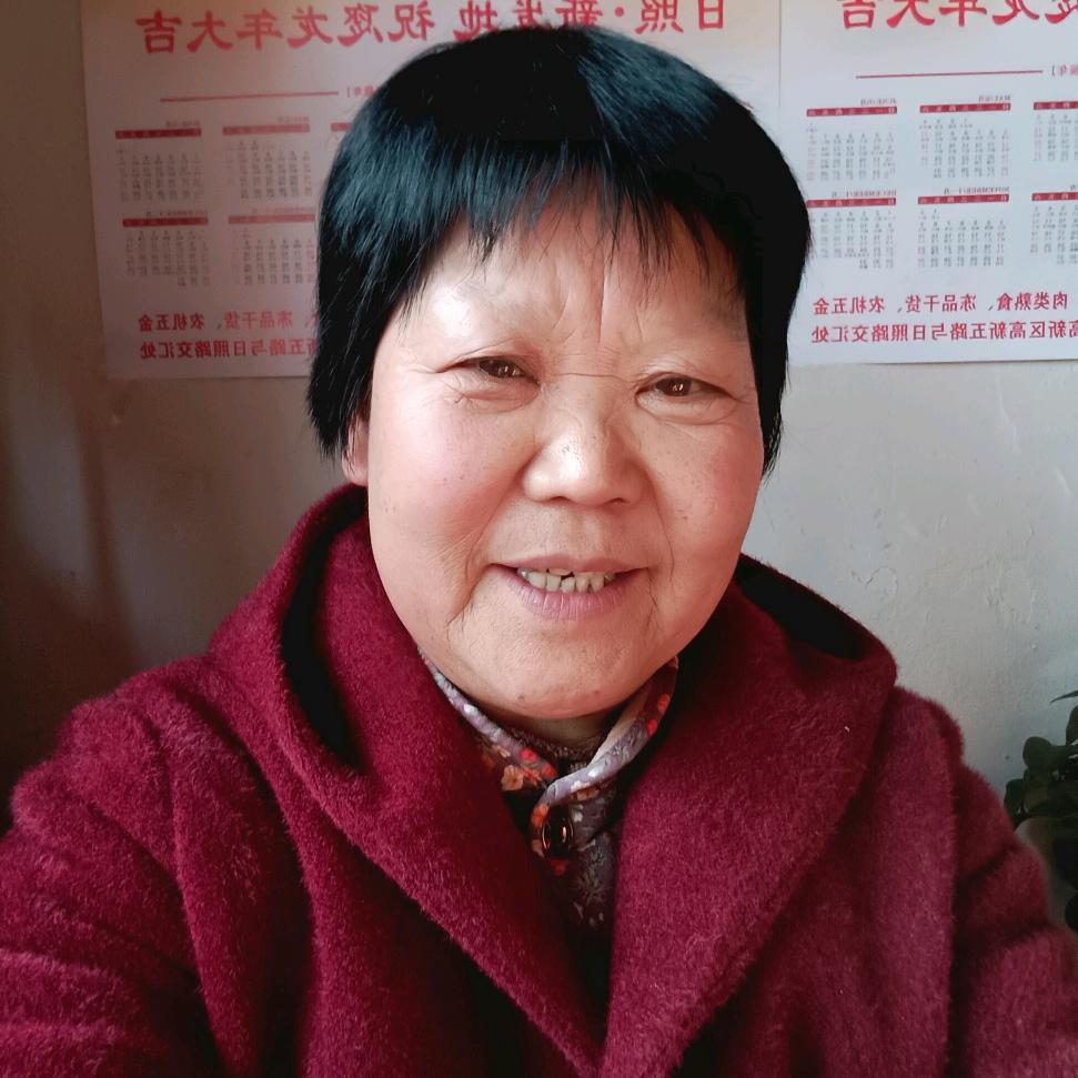 苗老的日常分享