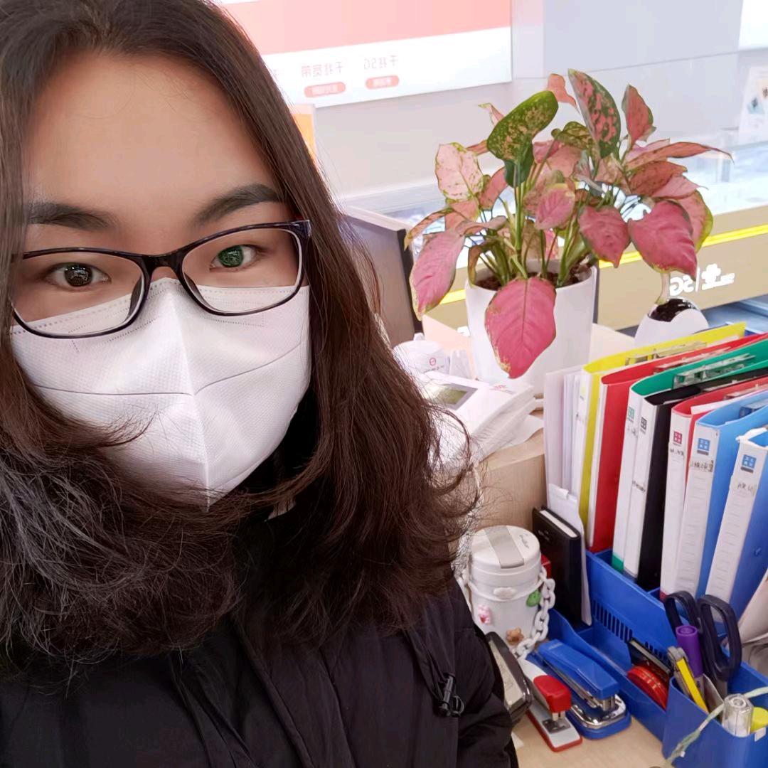 来凤卖手机的赵姐（金凤园酒店旁）