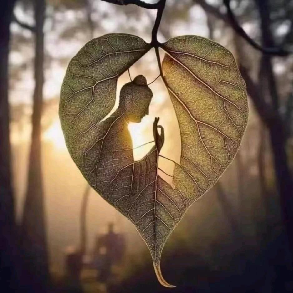 ༄༊࿆❀波儿ღ᭄ꦿ：