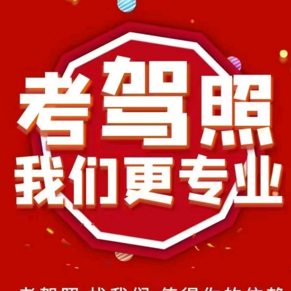 驾校金牌🥇教练——小鱼羊