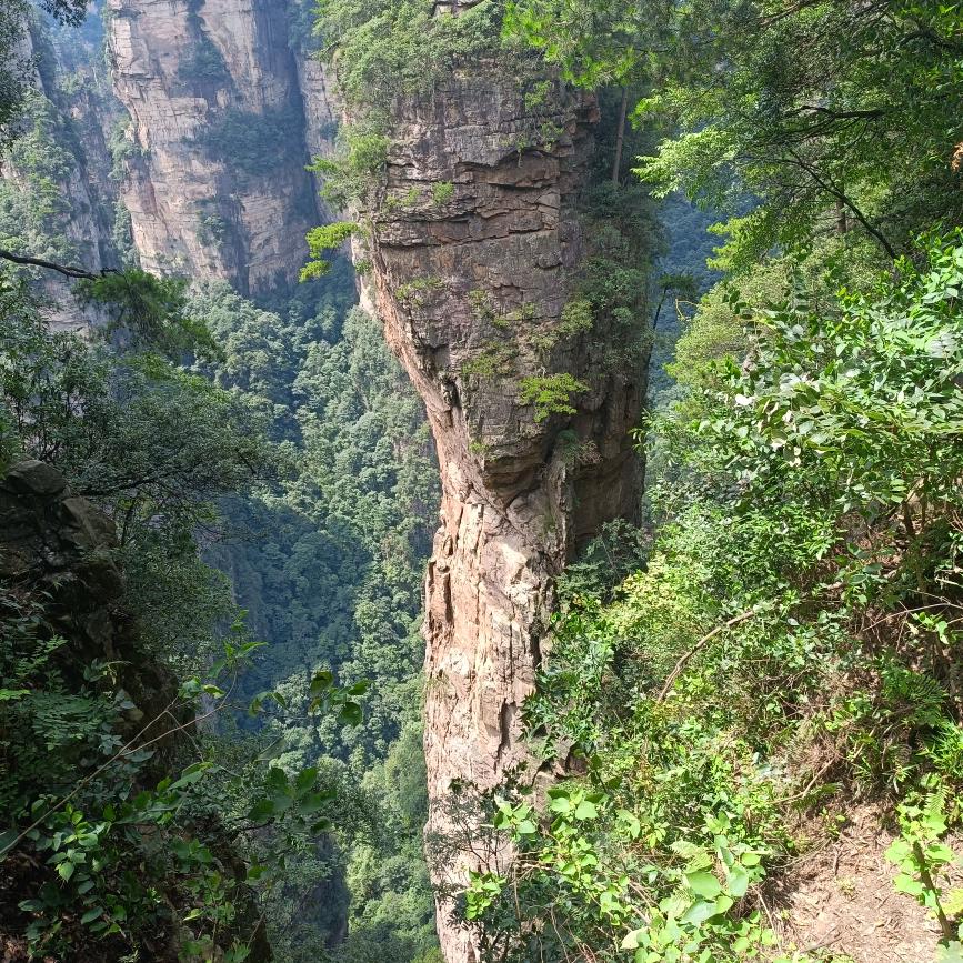 铃木，先生