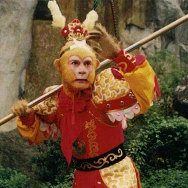 齐天大圣，美猴王