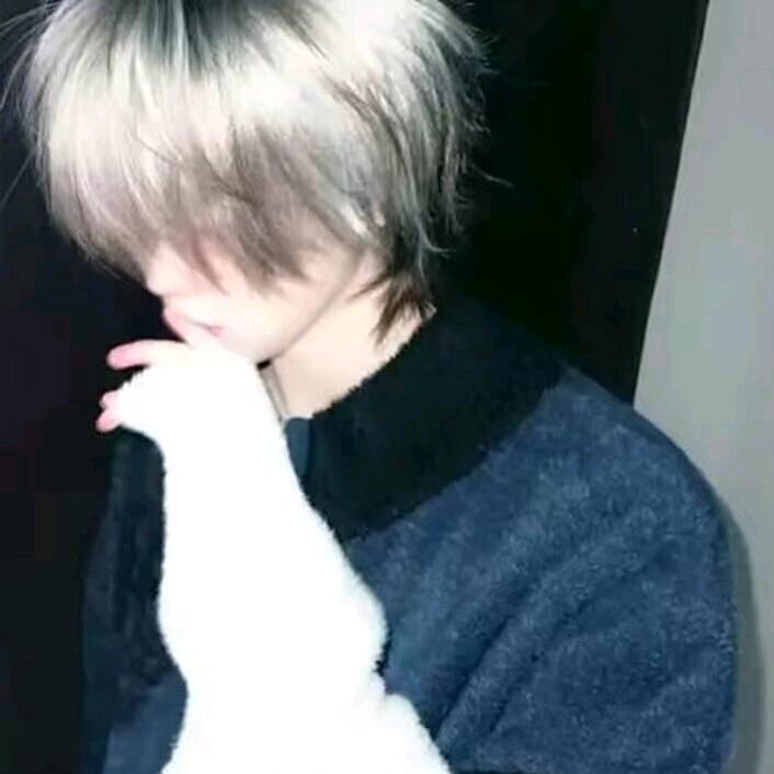 鲸鱼