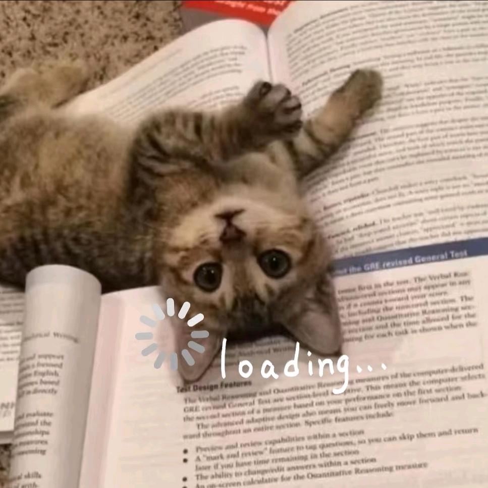 小猪仔.
