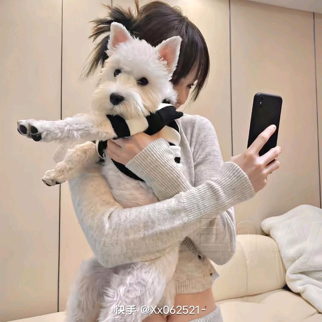 无情的果（连赞拉黑）