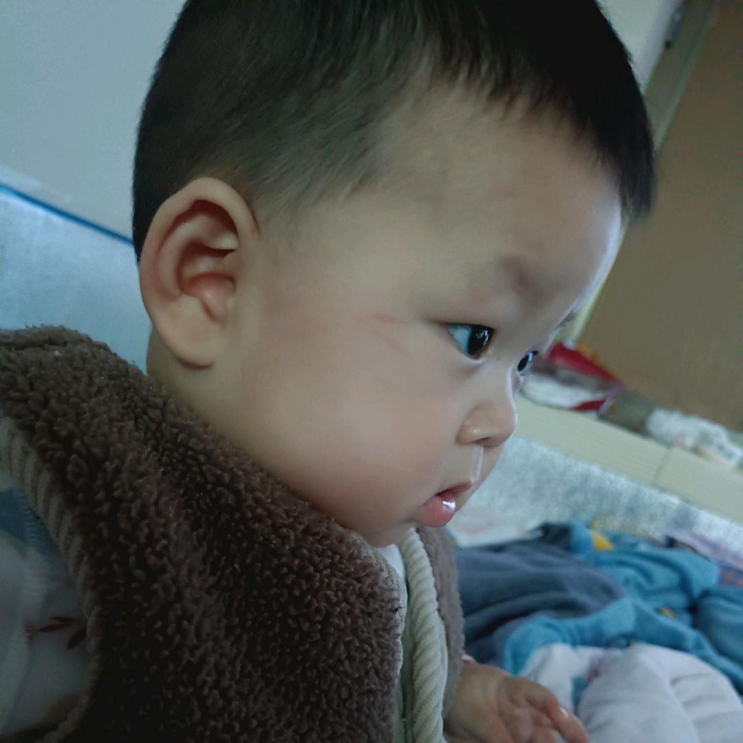 ᥫᩣ 🐯大瑞🐍小铠