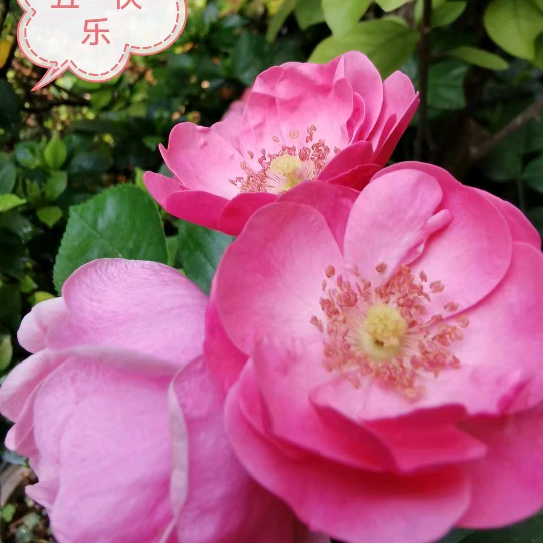 不求荣华富贵只求平安健康🙏🙏