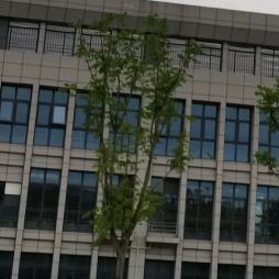 时光荏苒，岁月如梭