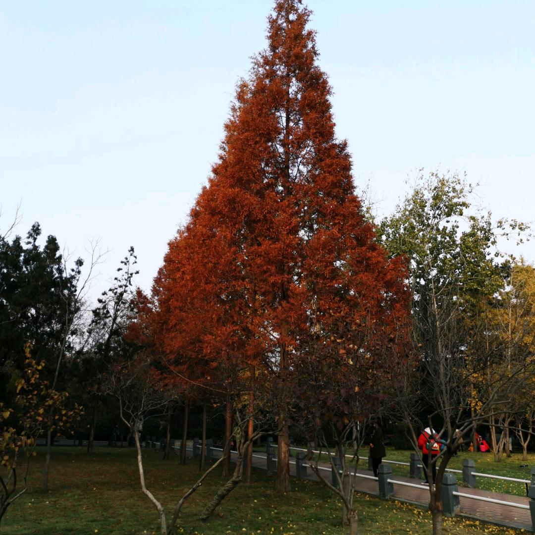 国内最大的石英石台面工厂