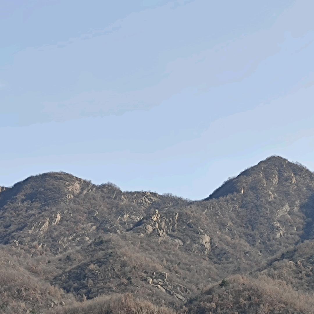 教数学的代老师