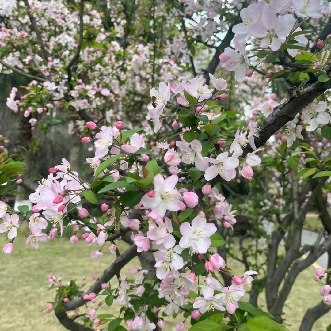 余生不再打扰