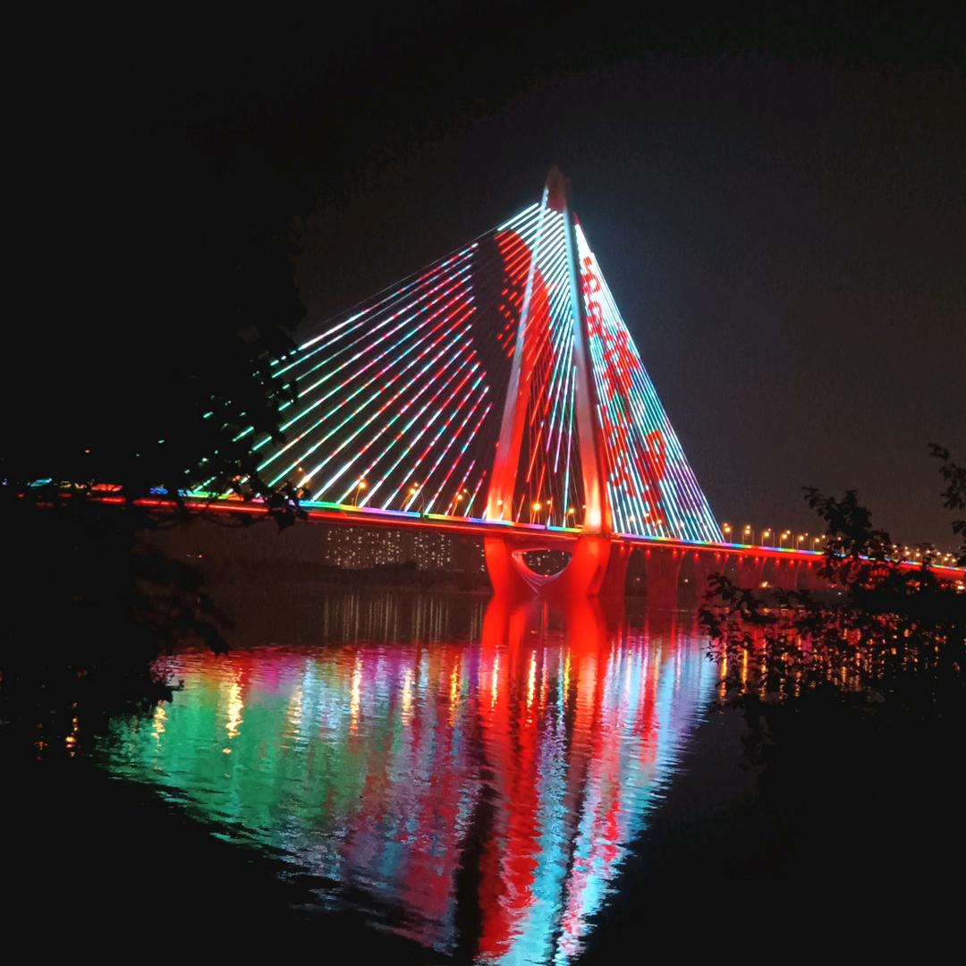 小小杨⁶⁶¹