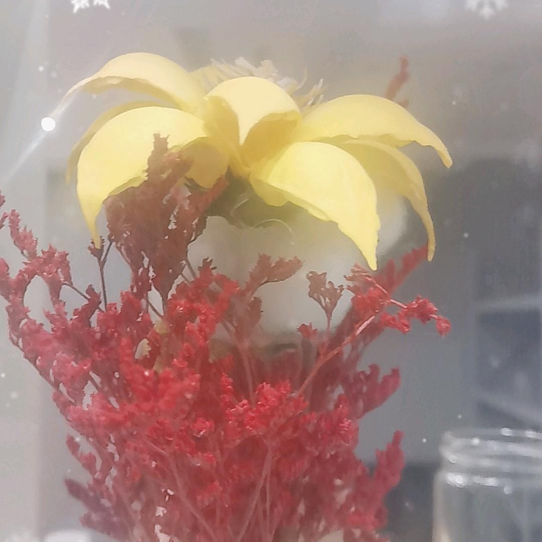 大紫农业