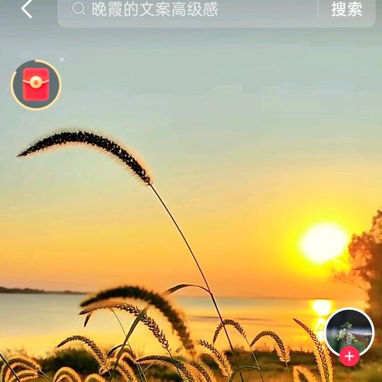 智宇