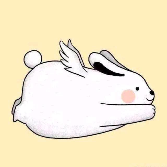 不张常