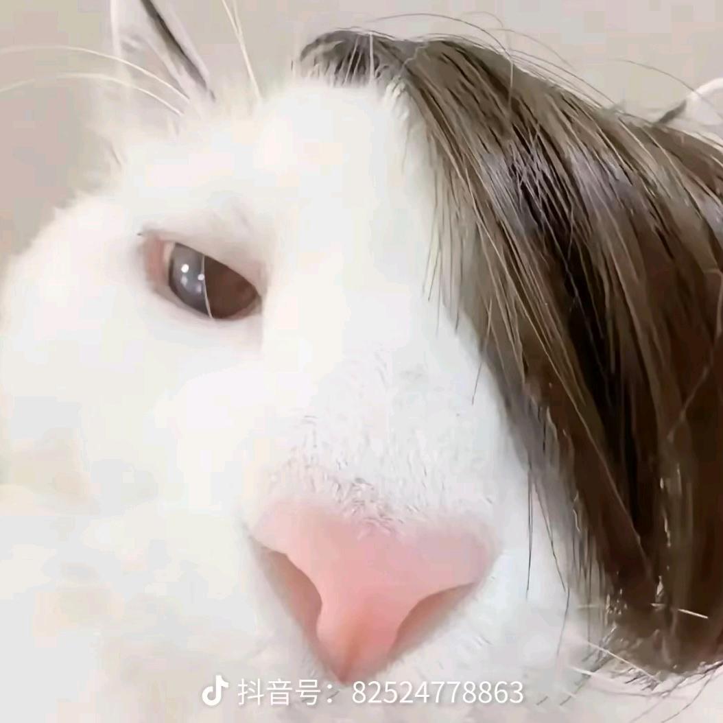 念安