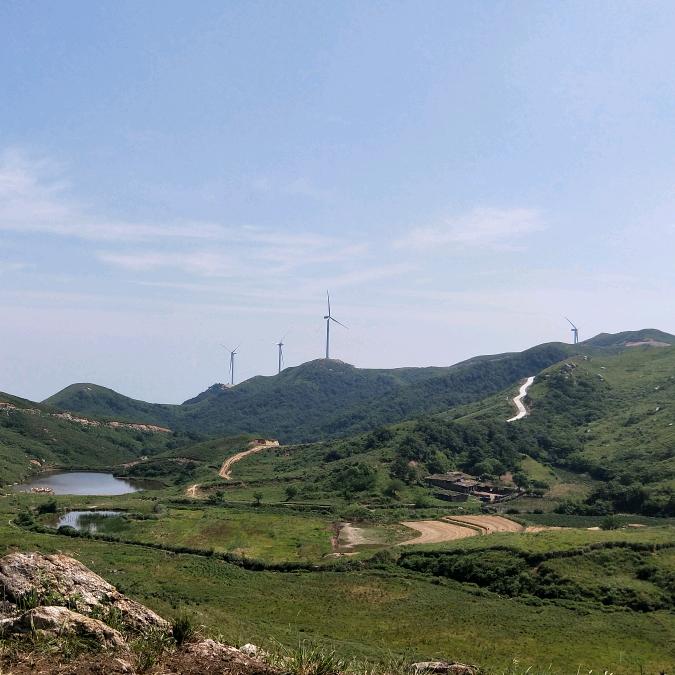 山巴佬李