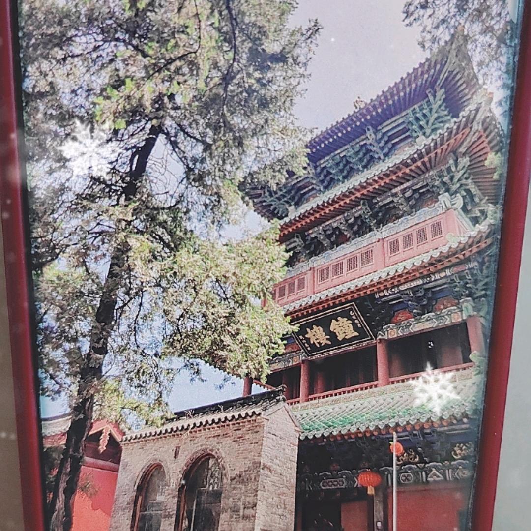 公主来了