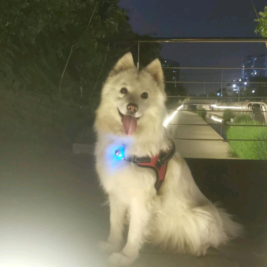 🌈臻好