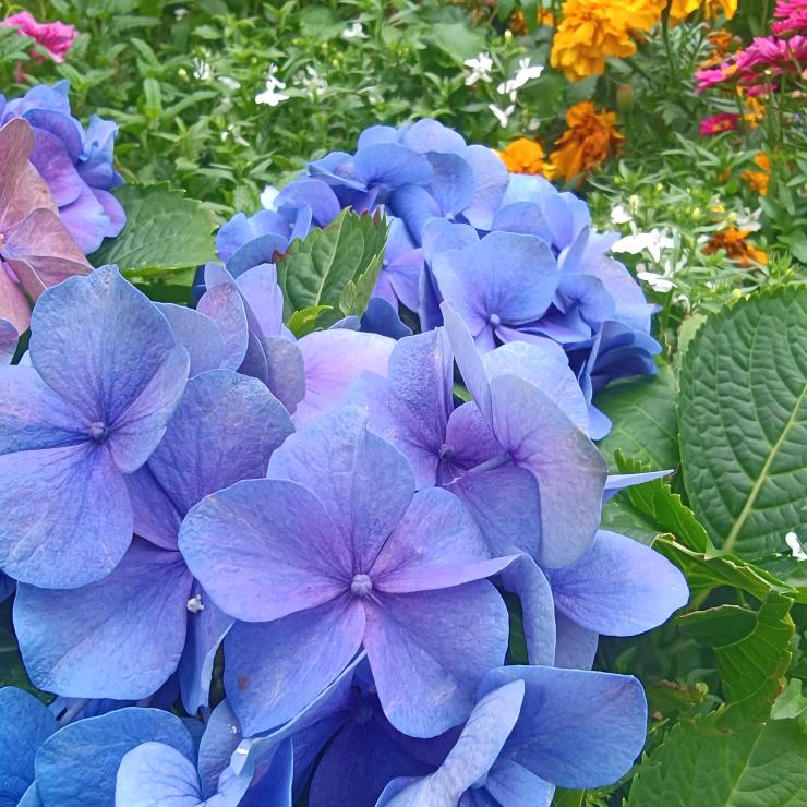 蓝色美丽的天空