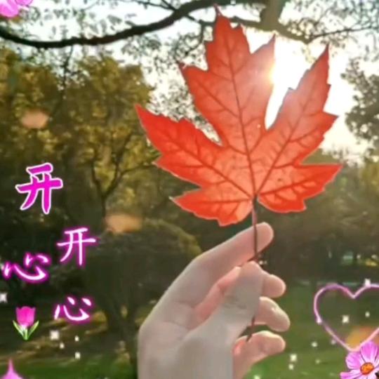 酸莓茶香