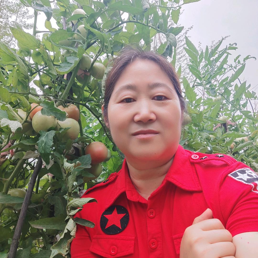 可心妈(下午3:27分首播)