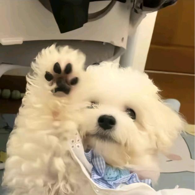 许砚秋♡