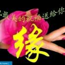 梦幻情缘