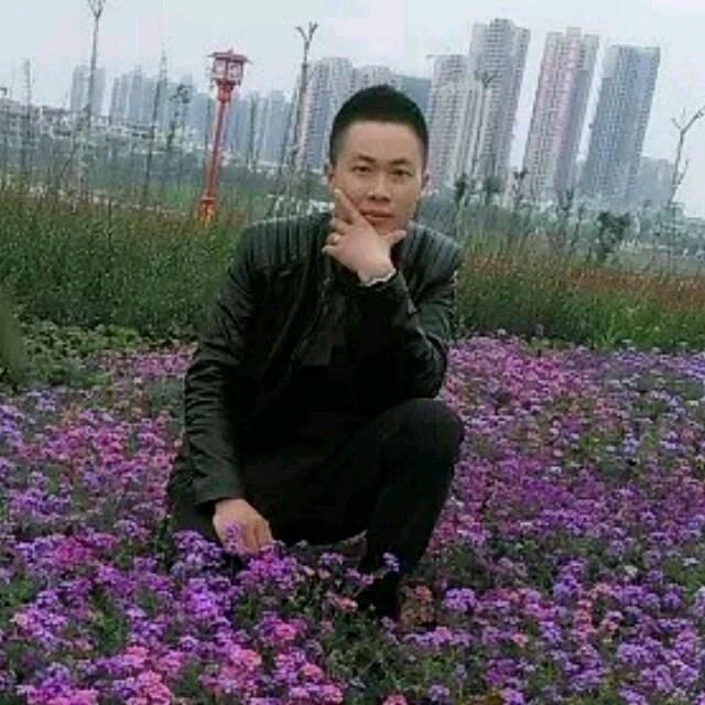 逝去的日子