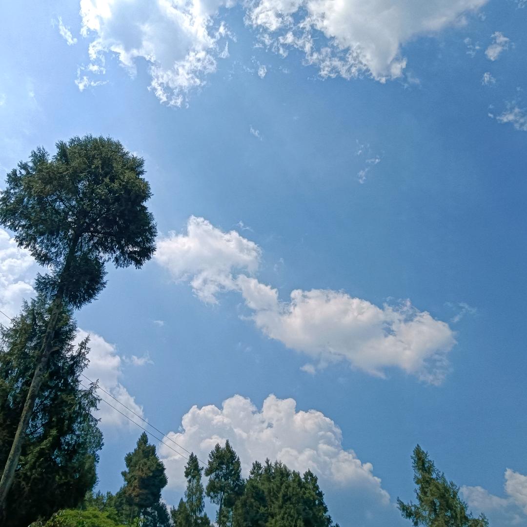 你是遥远的星河