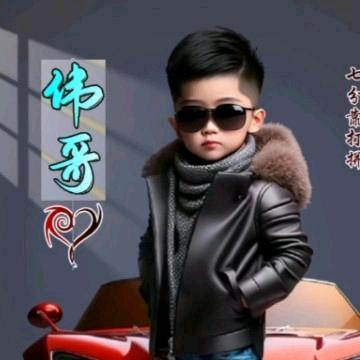 专业跨区收割小麦玉米