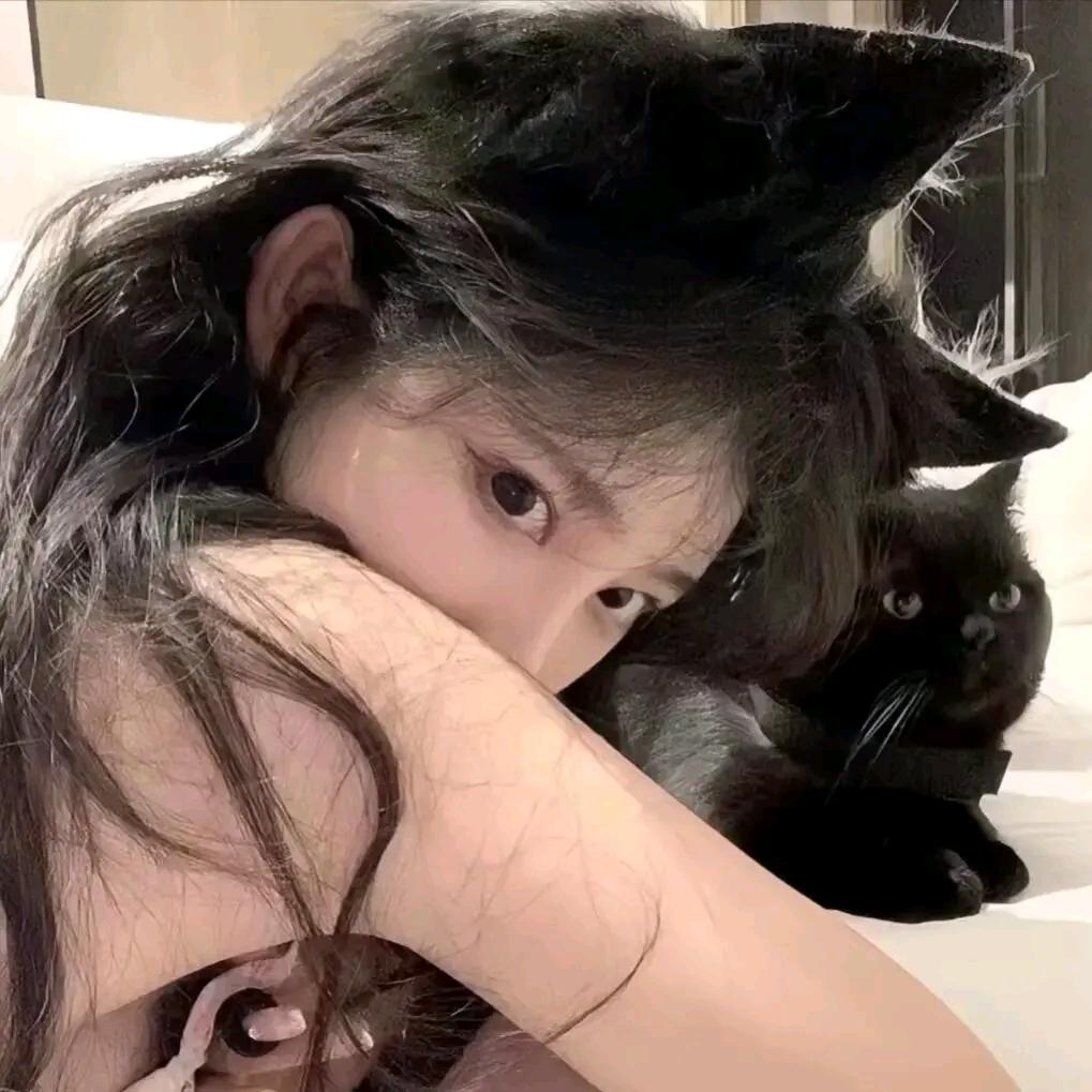 舞乐星辰——夜猫