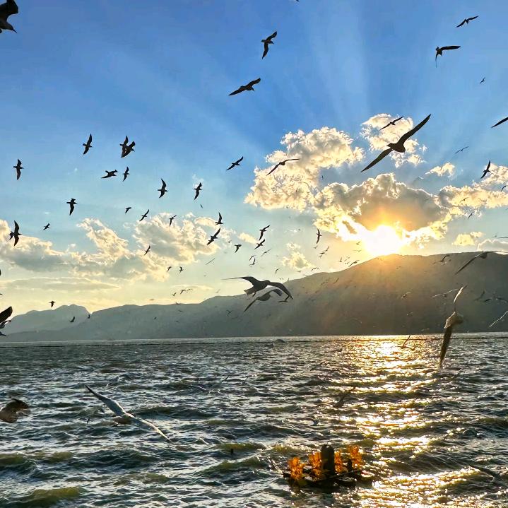 知足常乐