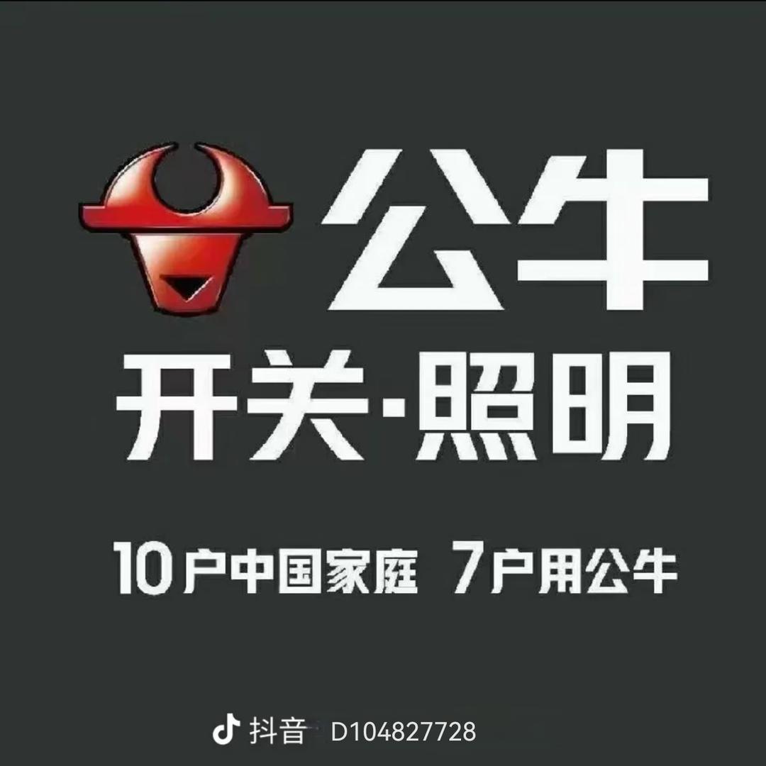 公牛开关插座(涡阳金博商城店)