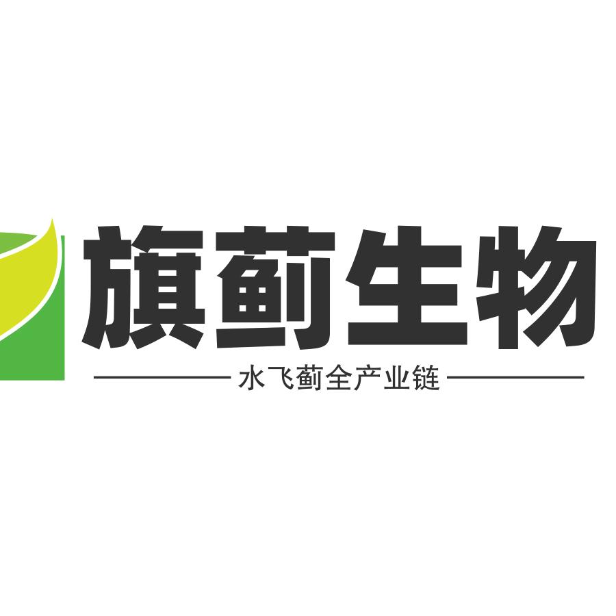 旗蓟水飞蓟