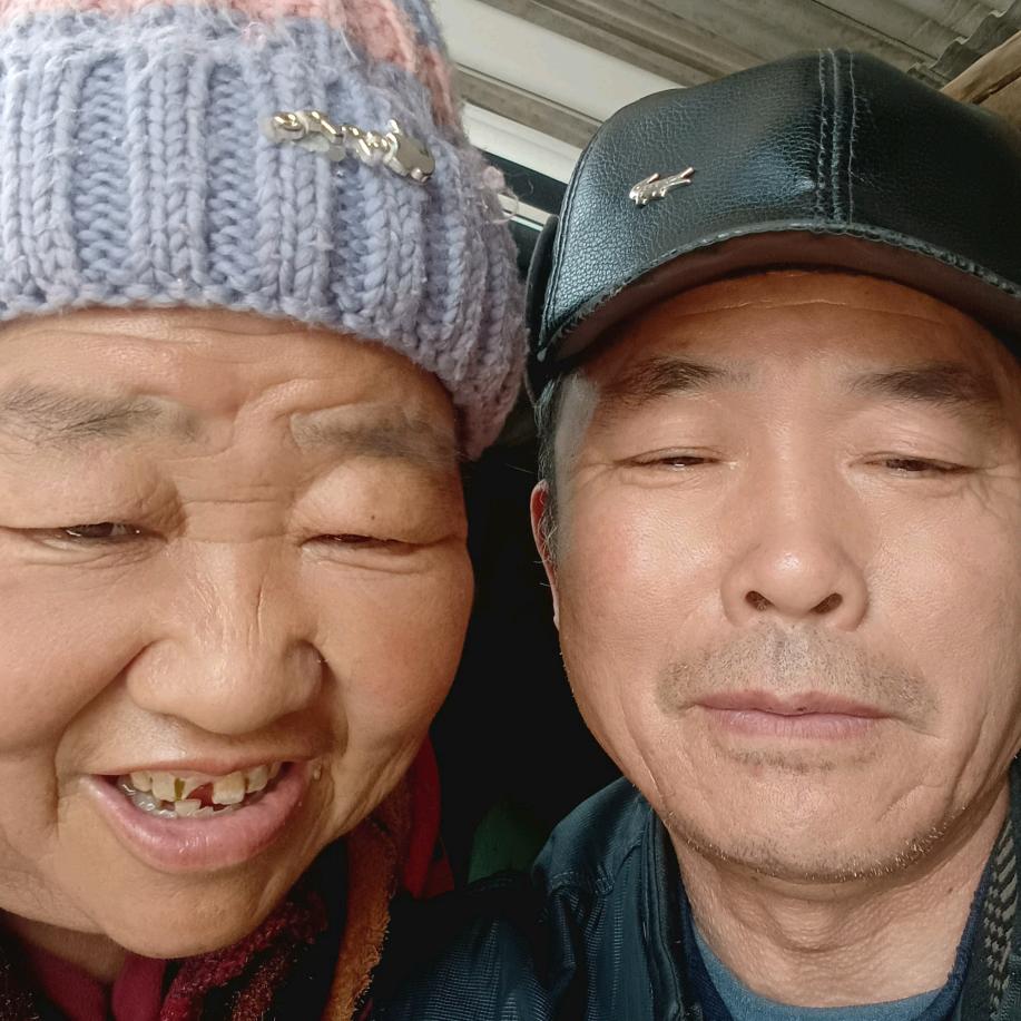 四季花城处处开
